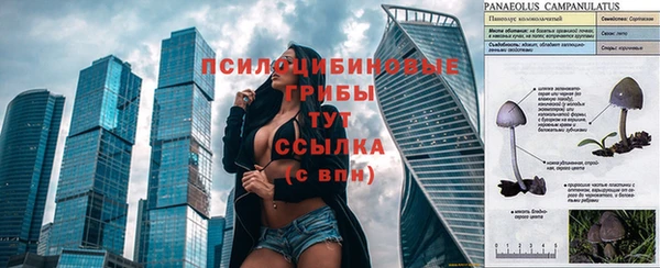 прущие крисы Верхний Тагил