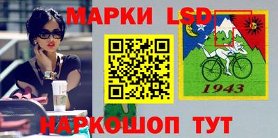 стаф Гай