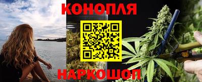стаф Гай