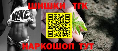 стаф Гай