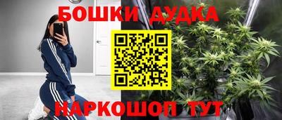 стаф Гай