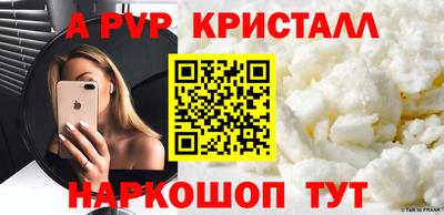 стаф Гай