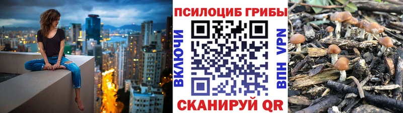 MEGA зеркало  Тюмень  Галлюциногенные грибы Magic Shrooms  купить  сайты 