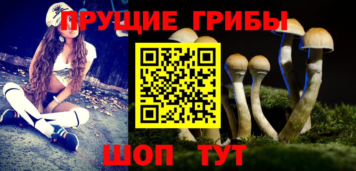 Псилоцибиновые грибы прущие грибы  Псилоцибиновые грибы мухоморы  Вход с VPN  Тюмень 